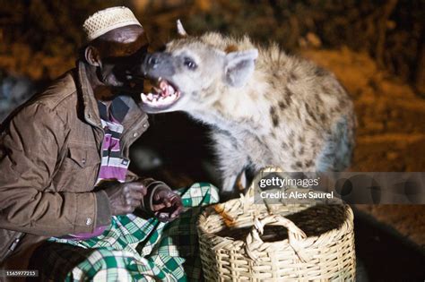 The Unlikely Union of the Weaver Bird and the Hyena: A Hilarious Exploration of Ethiopian Folk Wisdom!